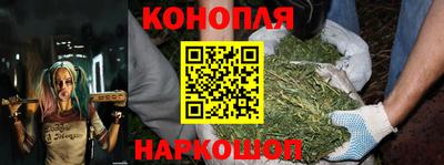 крисы Будённовск